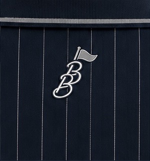 Navy stripe Brown Bobs polo